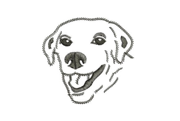 Download Golden Retriever - Premium Resources