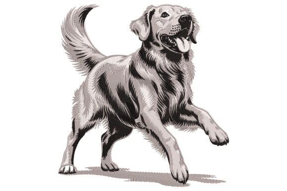 Download Golden Retriever Dog - Retriever Collection