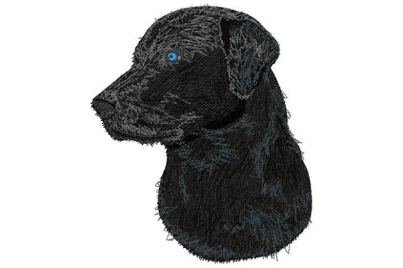 Download Labrador Retriever Looking to the Side - Retriever Collection