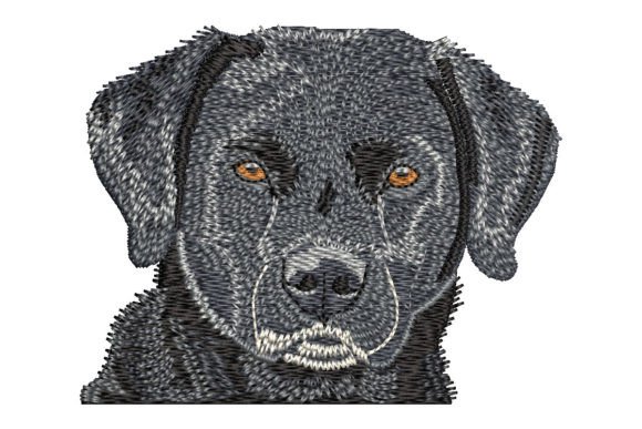 Download Black Labrador Retriever - Retriever Collection