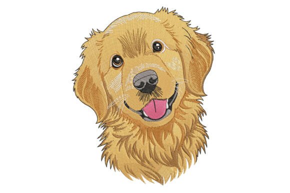 Download Golden Retriever Dog - Retriever Collection